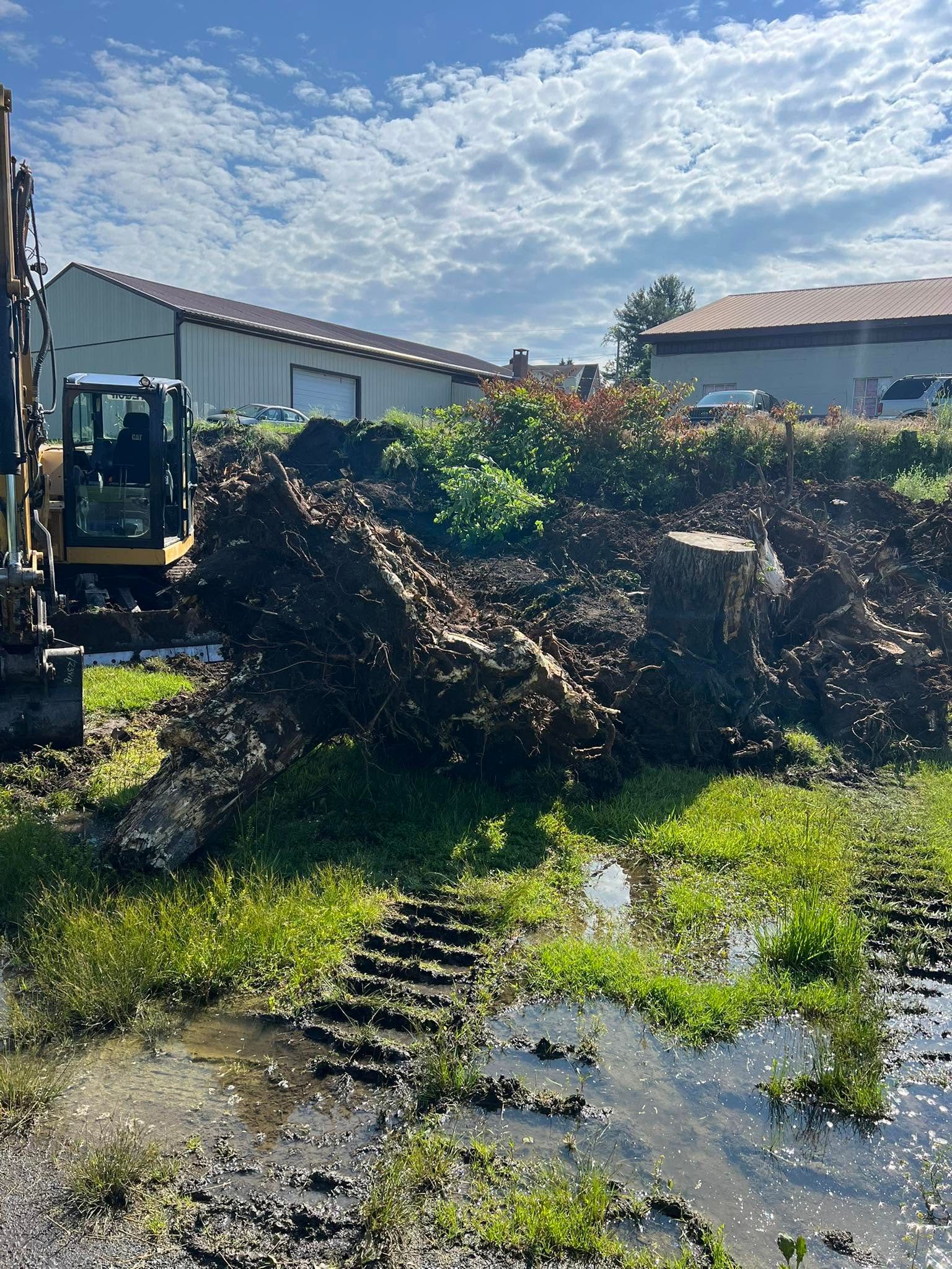 Excavator in operation on a site preparation job