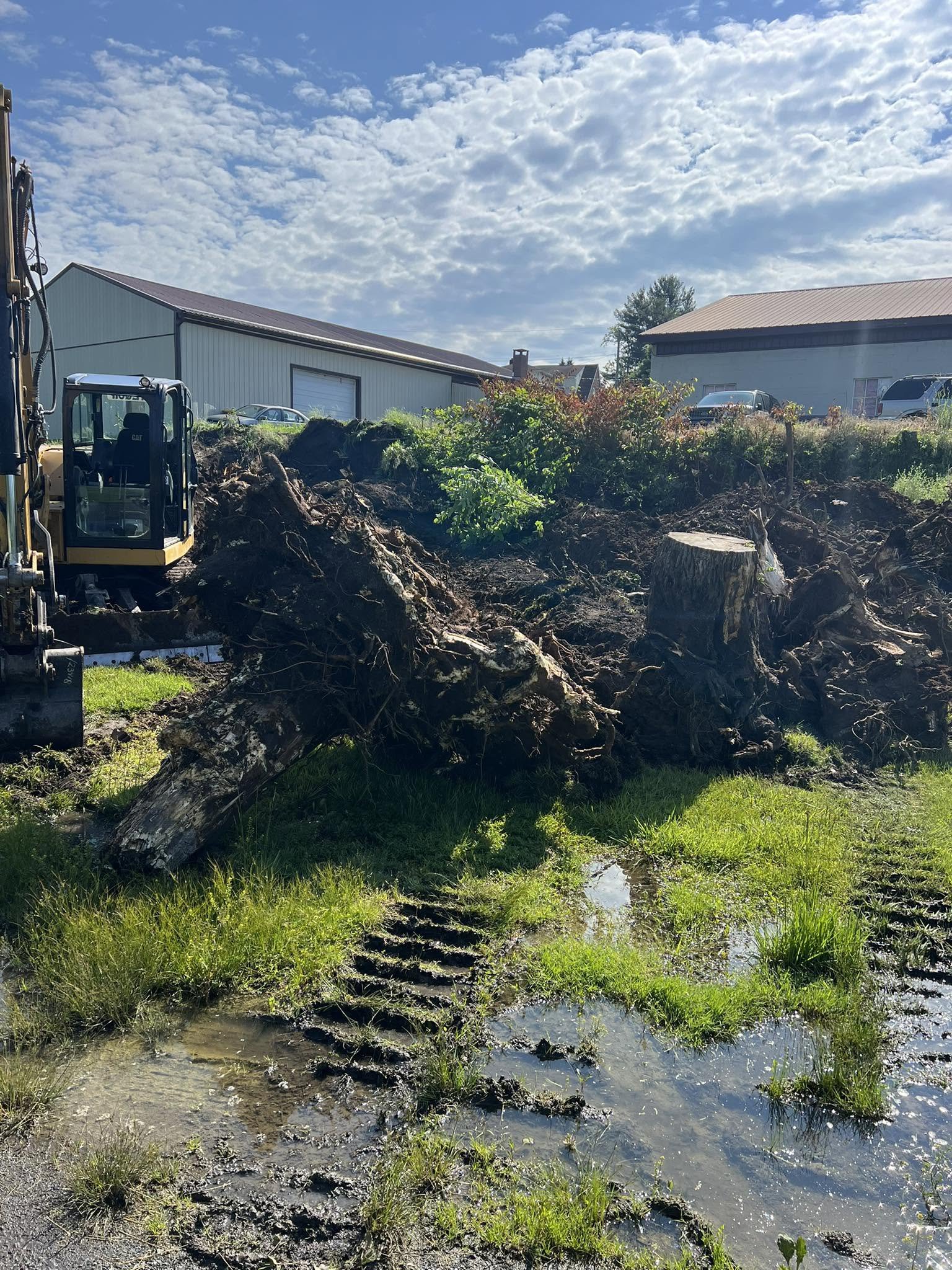 Excavator in operation on a site preparation job